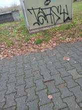 Bild zu gemeldetem Anliegen vom *2025-11-18 15:00:12