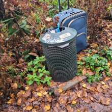 Bild zu gemeldetem Anliegen vom *2025-11-16 12:42:07