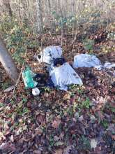 Bild zu gemeldetem Anliegen vom *2025-11-21 12:29:19