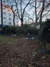 Bild zu gemeldetem Anliegen vom *2025-11-24 15:27:32