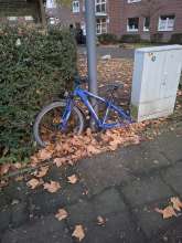 Bild zu gemeldetem Anliegen vom *2025-11-24 15:27:32