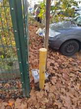 Bild zu gemeldetem Anliegen vom *2025-11-14 18:03:30