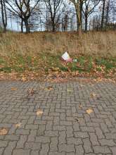 Bild zu gemeldetem Anliegen vom *2025-11-14 15:29:14