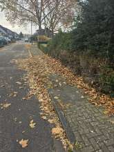 Bild zu gemeldetem Anliegen vom *2025-11-08 09:27:22