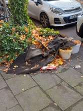 Bild zu gemeldetem Anliegen vom *2025-11-04 09:28:54