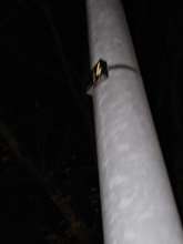 Bild zu gemeldetem Anliegen vom *2025-11-17 20:54:17