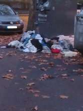 Bild zu gemeldetem Anliegen vom *2025-11-09 15:36:22