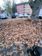 Bild zu gemeldetem Anliegen vom *2025-11-13 16:34:35