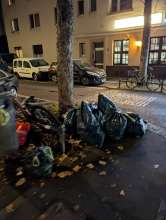 Bild zu gemeldetem Anliegen vom *2025-11-14 15:29:14