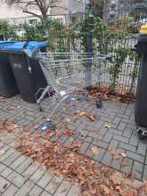 Bild zu gemeldetem Anliegen vom *2025-11-13 15:54:45