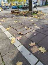 Bild zu gemeldetem Anliegen vom *2025-11-03 12:30:37