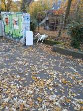 Bild zu gemeldetem Anliegen vom *2025-11-06 09:03:10