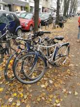 Bild zu gemeldetem Anliegen vom *2025-11-15 12:28:14