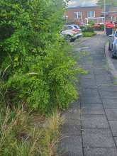 Bild zu gemeldetem Anliegen vom *2025-11-24 12:58:35