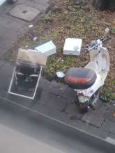 Bild zu gemeldetem Anliegen vom *2025-11-20 16:20:22