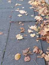 Bild zu gemeldetem Anliegen vom *2025-11-22 09:29:19