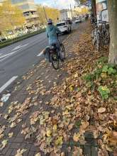 Bild zu gemeldetem Anliegen vom *2025-11-02 12:18:41