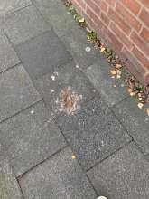 Bild zu gemeldetem Anliegen vom *2025-11-08 12:30:18