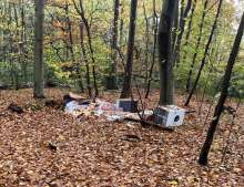 Wilde Müllkippe vom *2025-11-09 12:29:50