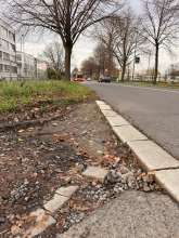 Bild zu gemeldetem Anliegen vom *2025-11-13 15:36:11