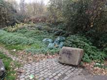 Bild zu gemeldetem Anliegen vom *2025-11-14 12:08:14