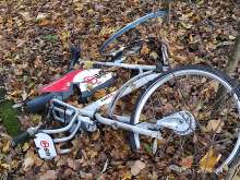 Bild zu gemeldetem Anliegen vom *2025-11-17 12:35:25