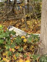 Bild zu gemeldetem Anliegen vom *2025-11-03 11:44:31