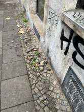 Bild zu gemeldetem Anliegen vom *2025-11-15 15:27:47