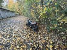 Bild zu gemeldetem Anliegen vom *2025-11-09 15:36:22