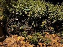 Bild zu gemeldetem Anliegen vom *2025-11-06 03:28:03