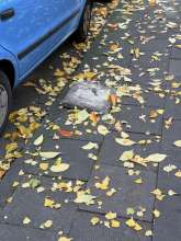 Bild zu gemeldetem Anliegen vom *2025-11-06 09:34:05