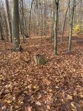 Bild zu gemeldetem Anliegen vom *2025-11-18 09:29:30