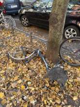 Bild zu gemeldetem Anliegen vom *2025-11-09 09:33:23