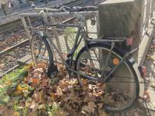 Bild zu gemeldetem Anliegen vom *2025-11-10 13:28:36