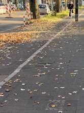 Bild zu gemeldetem Anliegen vom *2025-11-11 15:27:37