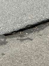 Bild zu gemeldetem Anliegen vom *2025-11-26 15:00:17