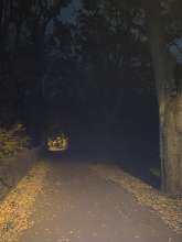 Bild zu gemeldetem Anliegen vom *2025-11-08 21:36:46