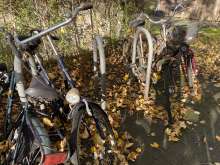 Bild zu gemeldetem Anliegen vom *2025-11-07 12:27:22