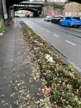 Müll ganze Strasse 2025-11-25 09:32:47
