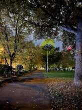 Bild zu gemeldetem Anliegen vom *2025-11-02 17:11:49