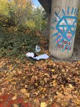 Bild zu gemeldetem Anliegen vom *2025-11-04 17:27:34