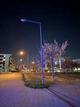 Bild zu gemeldetem Anliegen vom *2025-11-07 18:29:42