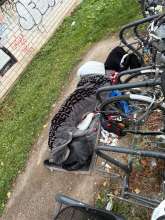 Bild zu gemeldetem Anliegen vom *2025-11-12 06:34:39