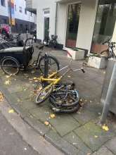 Bild zu gemeldetem Anliegen vom *2025-11-05 09:27:17