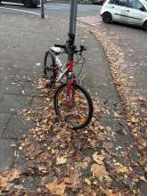 Bild zu gemeldetem Anliegen vom *2025-11-12 12:27:58