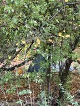 Bild zu gemeldetem Anliegen vom *2025-11-03 18:27:47