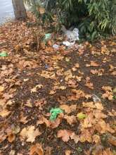 Bild zu gemeldetem Anliegen vom *2025-11-17 07:47:12