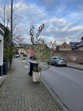 Bild zu gemeldetem Anliegen vom *2025-11-27 06:34:19