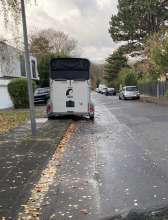 Bild zu gemeldetem Anliegen vom *2025-11-17 17:06:30