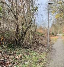 Fußweg zw. Donatusweg u. Fühlinger Weg